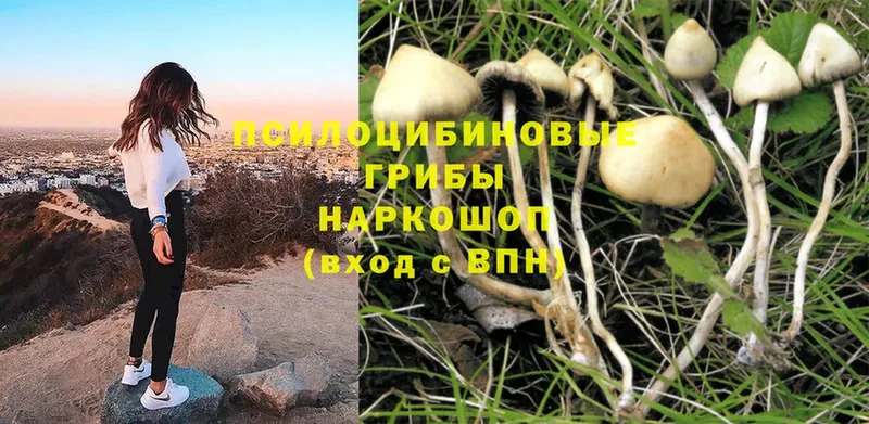 Псилоцибиновые грибы Magic Shrooms  Липки 